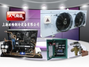 冷庫安裝公司，江西冷庫安裝，上海冷庫安裝，冷庫建造工廠